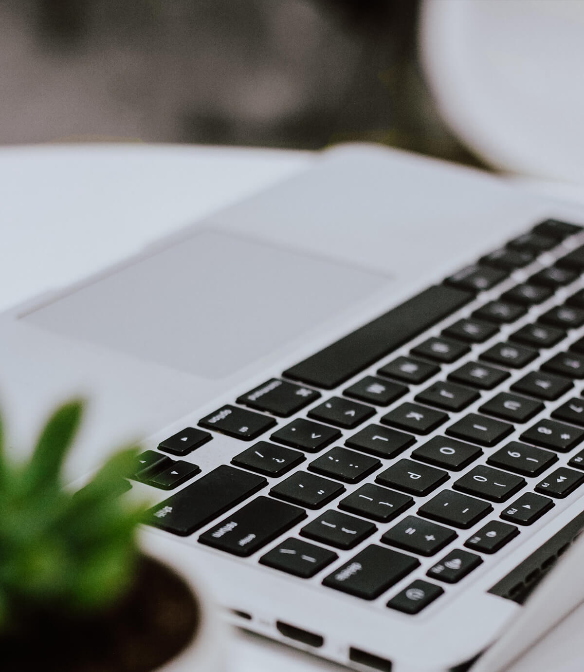 Screenshot of the repository structure showing the organization of notebooks